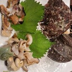 ろばた仁 - サザエのお刺身最高です‼️