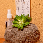 江戸蕎麦 ほそ川 - 現金のみです