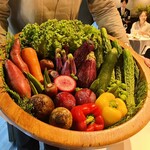 レフェルヴェソンス - 