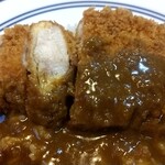 とんかつ一代 - 