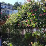 シークレット レストラン カメ - 