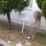 鮨菜 和喜智 - 向かいに駐車場できました！