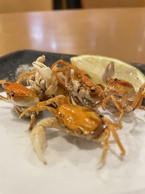 Katsugyo Kushiage Wagaya photo 3