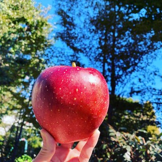 和風ジェラート おかじ Tokyo_2