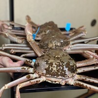 味処 高崎 - 