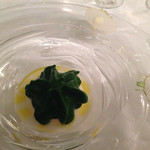 マダム・トキ - 