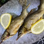 あゆの店きむら - 料理写真: