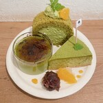 アンズトモモ - 