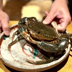 日本料理FUJI - もう、元気いっぱいのノコギリガザミ(^^)