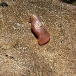 鮨 node - チップ