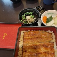 鰻 十和田 - 