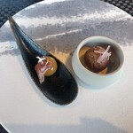 ザ　ジュエルズ - 