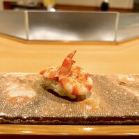 鮨 おさむ - 車海老