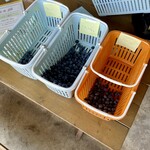 中村ブルーベリー園 - 料理写真: