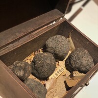 マルゴット エ バッチャーレ - 