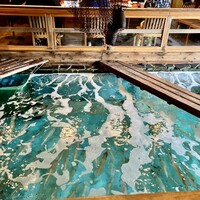 河太郎 中洲本店 - 