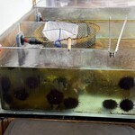 うに むらかみ - 