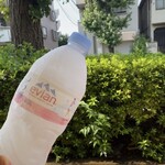 ブランジュリー パリの空の下 - シェリーさんから差し入れ！②