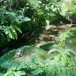 柚木元 - 水汲みに行った猿庫（さるくら）の泉