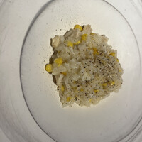 タケル クインディチ(LOQUAT) 西伊豆 - 