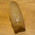 寿し おおはた - 