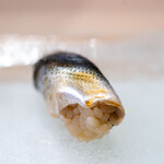 うを徳 - 2024.8 天草産新子