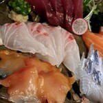 小樽食堂 - 鰹、真鯛、赤貝