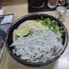 いけこうどん