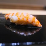 鮨 さいとう - 宇部の車エビ。