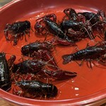 レストラン ナズ - 