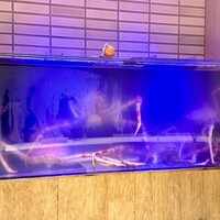 湘南沖地蟹専門店ふじ月 - 