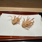 てんぷら 近藤 - 