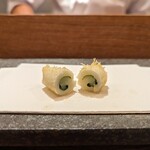 天 よこた - 新烏賊