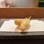 天 よこた - ベニテグリ