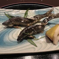 京都 つる家 - 
