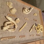 オステリア コナチネッタ - 