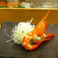 鮨棗 本店 - シマ海老