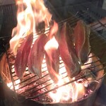 土佐のおきゃく - 鰹タタキ