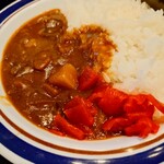 名代 富士そば - ミニビーフキューブも入った濃厚カレーも旨い。