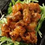 lazos - 