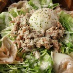 lazos - 
