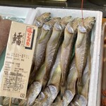 ひもの塾 - 