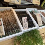 ひもの塾 - 