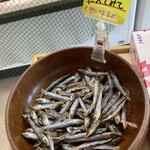 ひもの塾 - 