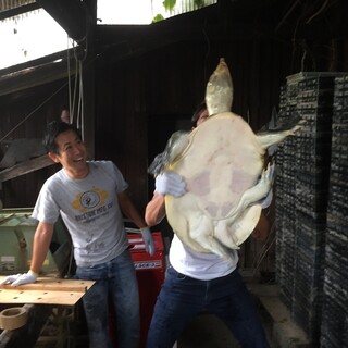 お楽しみください。