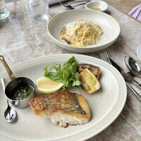 ジャヌ メルカート - 