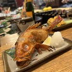 六本木田舎家 - 