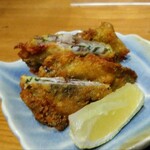 サカナノネジロ - 