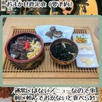 菜食健美 里味 - ときがわ町の環境ならジビエは美味しいはずだよ