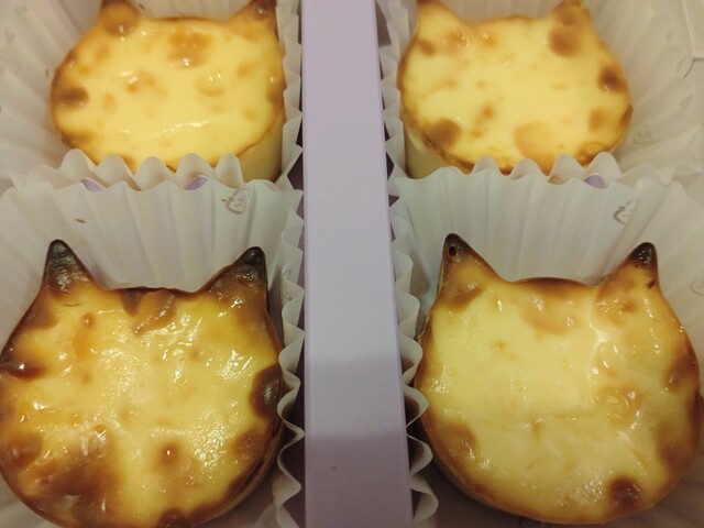 NEKO NEKO CHEESECAKE Oasis 21 Ten